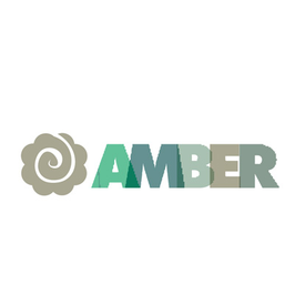 Amber Developers