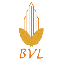 BVL Group