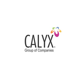 Calyx Constructions