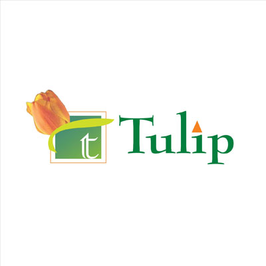 Tulip Infratech