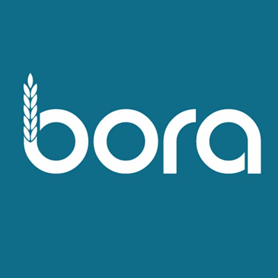 Bora Reality LLP