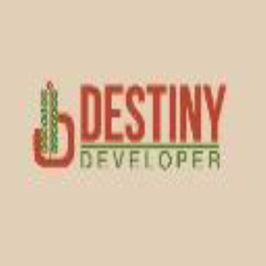 Destiny Developers