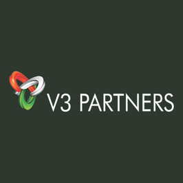 V3 Partners