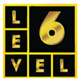 Level 6 Group