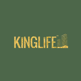 Kinglife Infra