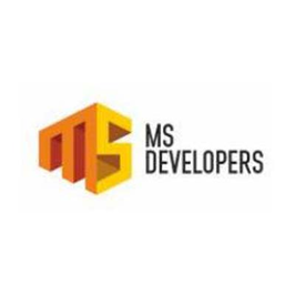 MS Developers