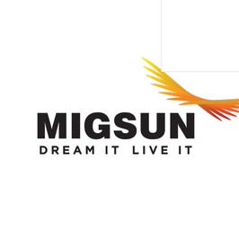 Migsun Group