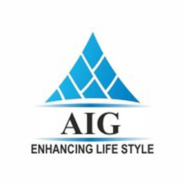 AIG Group