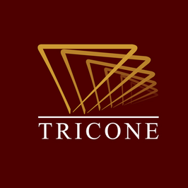 Tricone Projects India Limited