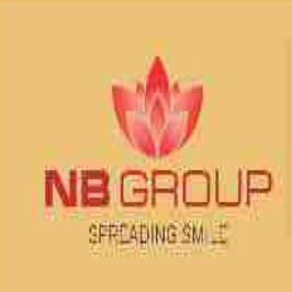 N B Group