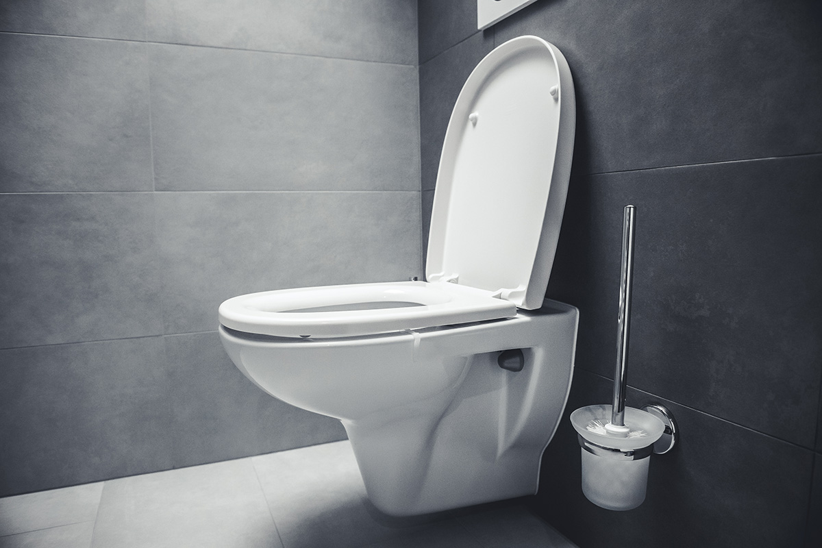 Finding Out the Right Toilet Seat Direction as per Vastu